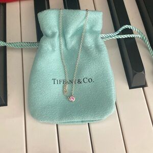 Tiffany & Co Colors By The Yard Necklace